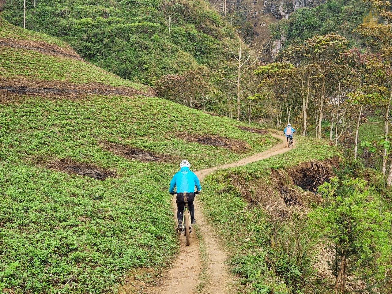 The Rhythm of the Land: Immersive Cultural Cycling Tours in Vietnam